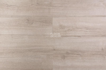 Кварцвиниловые полы IVC Primero (DryBack) IVC Primero 24137Q фото 1 | FLOORDEALER